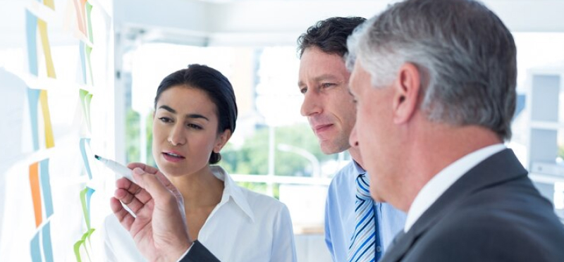 Expert Support & Guidance